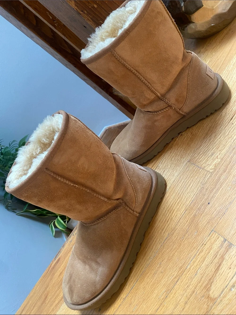 UGG Classic Short Boots - Chestnut Suede